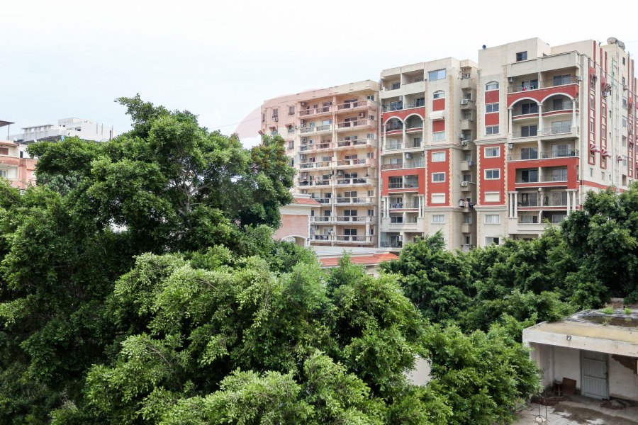 Apartment For Sale 315 m Kafr Abdo (Steps From Sant Geny square)