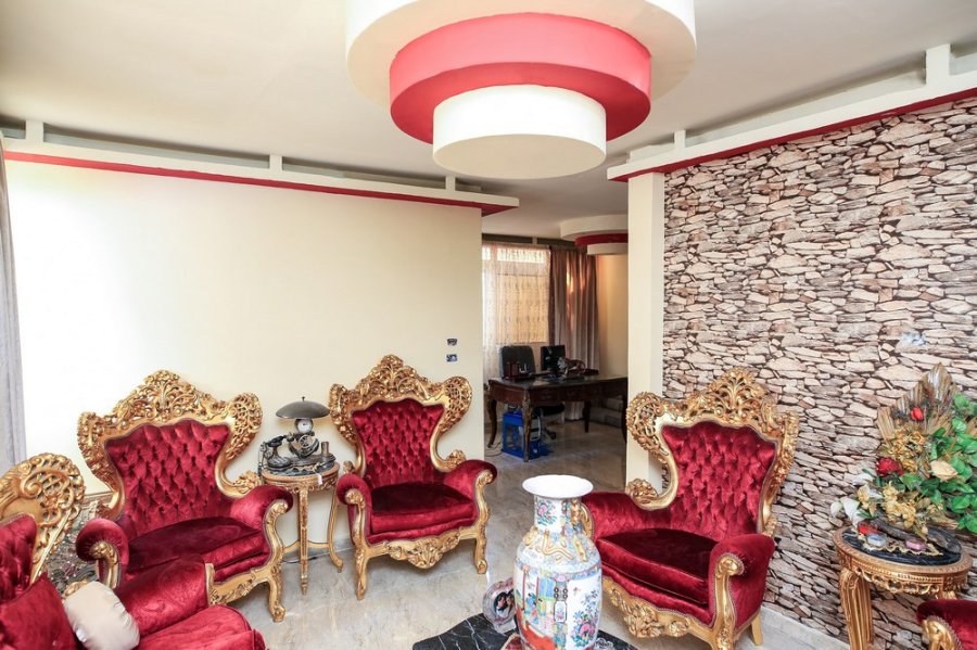 Apartment For Sale 250m Sedi Gaber (Steps From Geish Road)