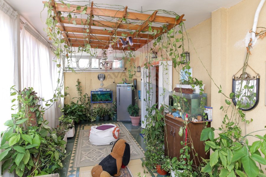 (شقة للبيع 250 م رشدي (على الترام مباشرة