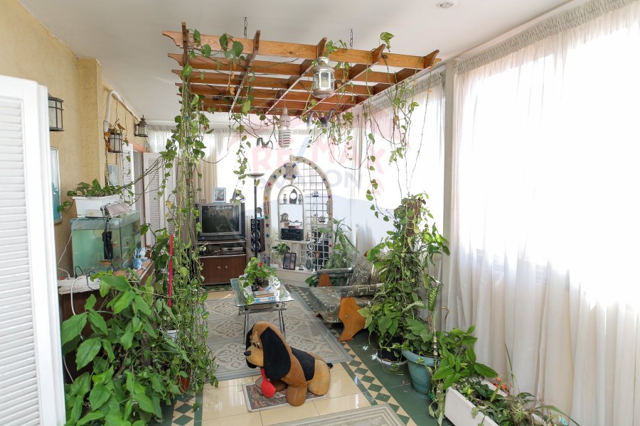 (شقة للبيع 250 م رشدي (على الترام مباشرة