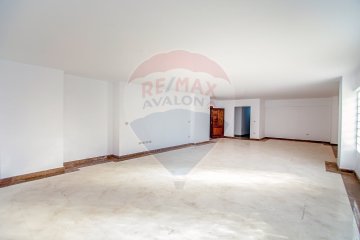 Apartment for Rent 289 m Smouha (Fawzi Moaz St)