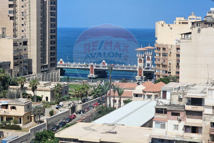 Apartment for sale 230 m Stanly (Ahmed Youssef st - sea view)