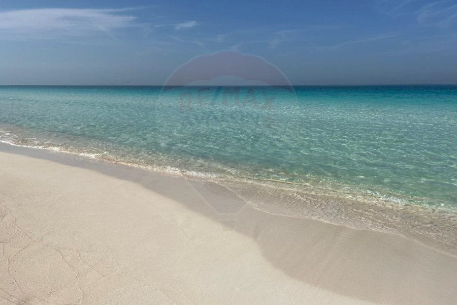 شاليه ارضي بحديقة للبيع 266م الساحل ( قرية جامعة الدول العربيه )