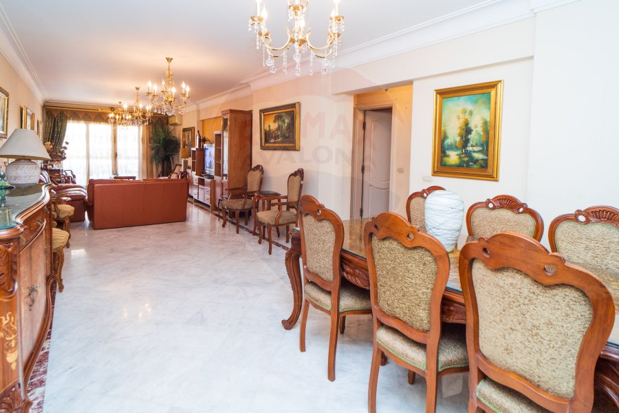 Furnished Apartment For Rent 216 m Smouha (Fawzi Moaaz St.)